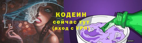 ECSTASY Бородино