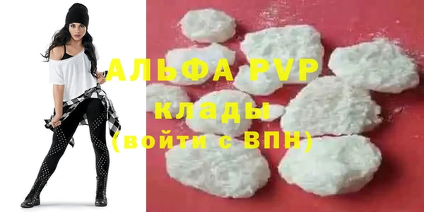 ECSTASY Бородино