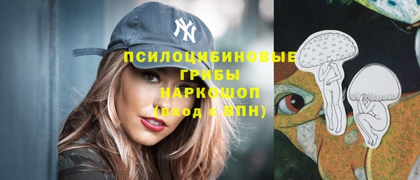 ECSTASY Бородино