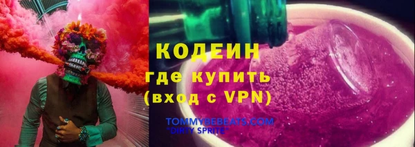 ECSTASY Бородино